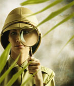 WBC Audit Detective